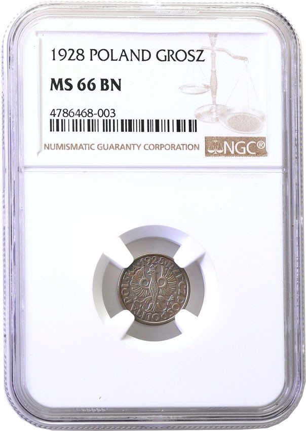 II RP. 1 grosz 1928 NGC MS66 BN (2MAX)